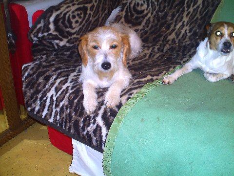 EMMI auf der Couch