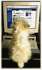HUND g�stebuch