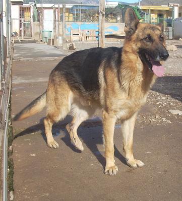 SCOOBY th