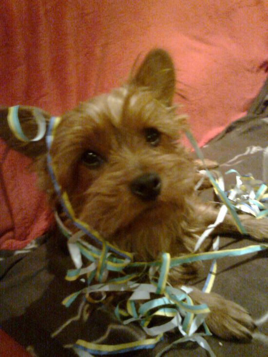 AYLA happy fasching