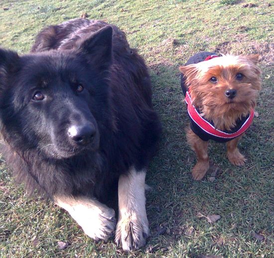 AYLA happy hundefreunde