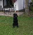 BALOU happ sitzt