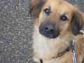 � fiona happy vor