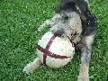 JARIK happy mit ball