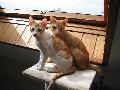 SISSI und FRANZL happy 1
