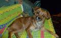 TOMALIA happy