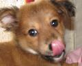 dorle happy kopf