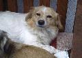 LEFKA gesicht happy
