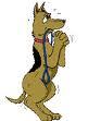 HUND pflegestelle