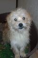 � maxl m�rz sitzt