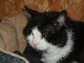 �KATER MEXX
